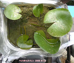 20080812-007