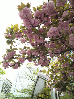 20100421-001