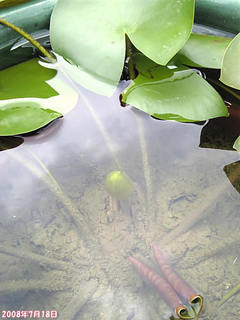 20080718