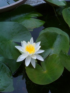 a8f01f79.jpg