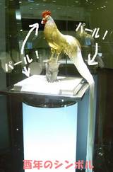 20050414-4
