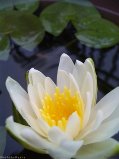 20100623-021