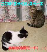 20050226-2