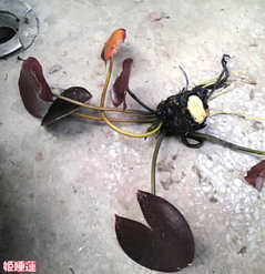 20080506-002