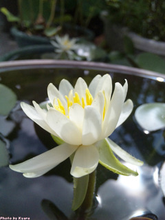 20100810-012