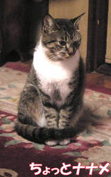 20071027-5