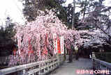 20010403-4
