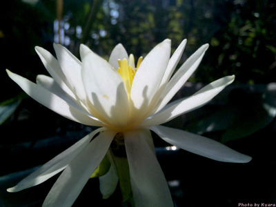20100826-008