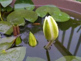 20100623-006
