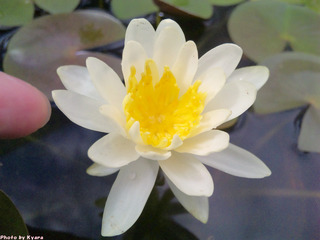 20100810-011