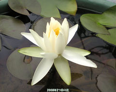 20080710-003