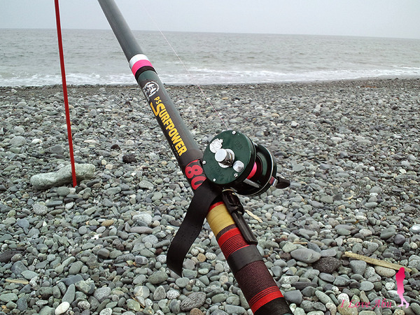 DAIWA PS サーフパワー 480A★彡