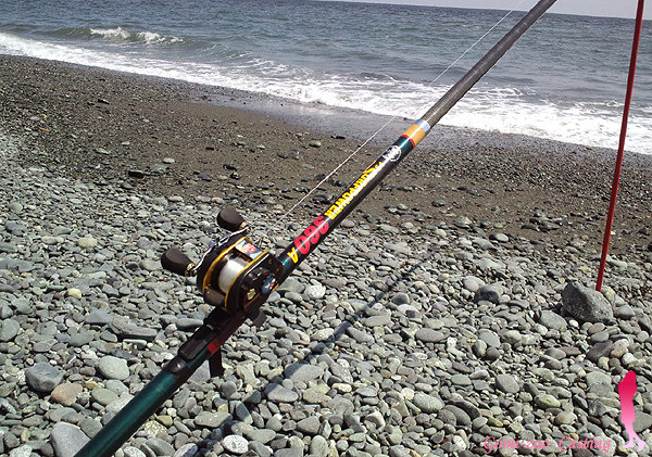 DF天秤で初Kiss❤ 「DAIWA PS SURFPOWER 360」 : ・・・ごみ竿ですが