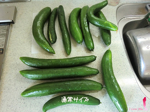 オリムピック釣具 両軸リール ストロング50