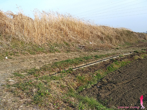 ごみ竿　不法投棄