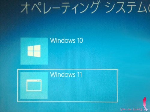 Windows デュアルブート