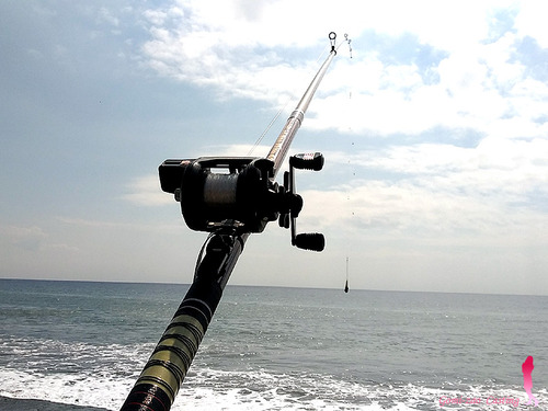 TE タクティクス エンジョイ AROX AX600