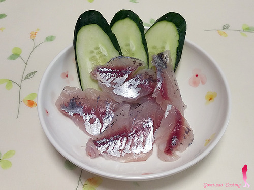 投げ釣りでアジ釣り