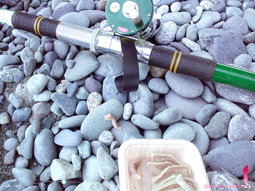 投げ釣りの代用エサ 豚タン(≧∇≦)