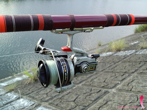 DAIWA スポーツラインST-0