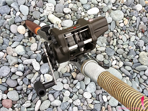 TE タクティクス エンジョイ AROX AX600
