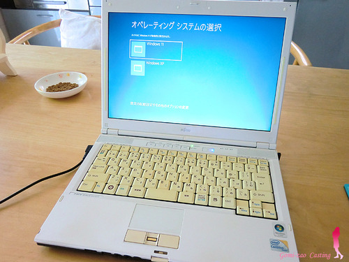 Windows11 & XP デュアルブート