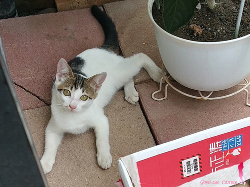 オリムピック HORIZON スピニングリール