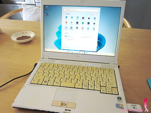 Windows11 & XP デュアルブート