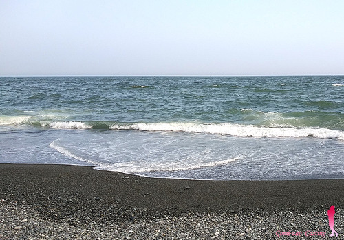 弓角 サーフトローリングの釣り