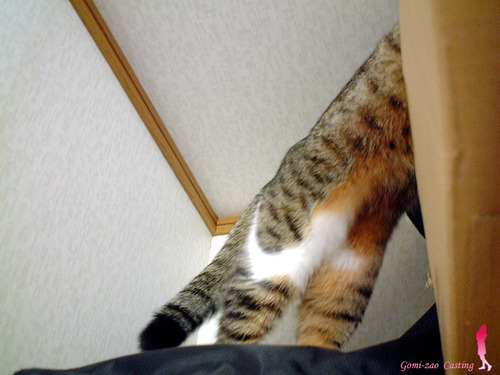 押入れの主!?