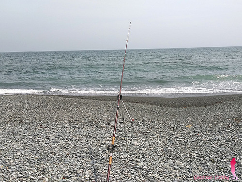 GT ROD 3.9m 投げ竿