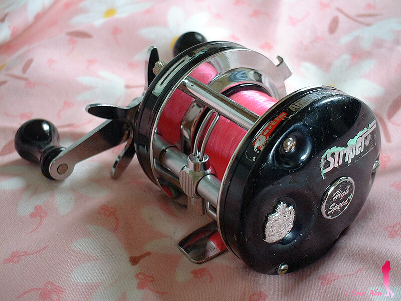 Garcia Ambassadeur 5500 Striper ABU ストライパー : ・・・ごみ竿