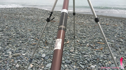 GT ROD 3.9m 投げ竿