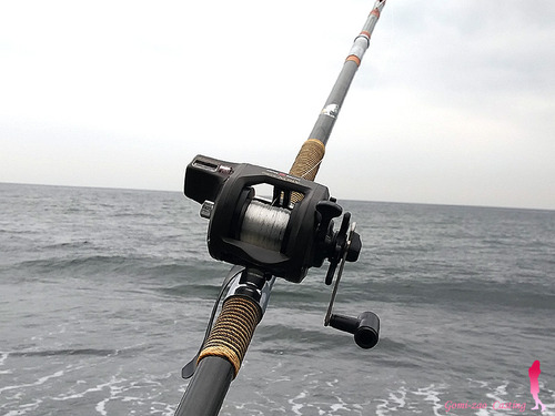 TE タクティクス エンジョイ AROX AX600