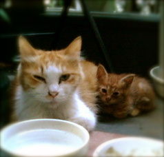 20101220_837850