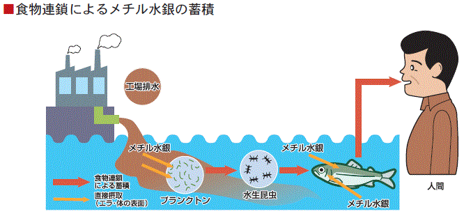 四大公害病