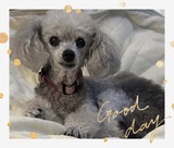 2739185F-3481-4B0A-BEB6-CF3630FAAF92