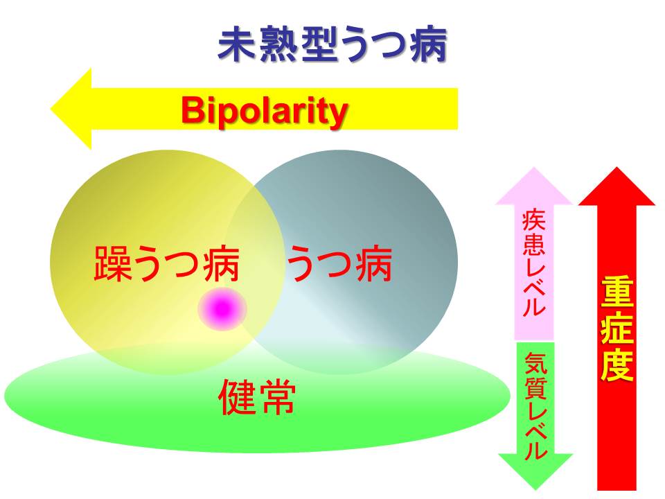 混沌としている気分障害概念について わかりやすくまとめられた徳山明広先生の講演を聴きました Dr きょうのぼちぼちブログ