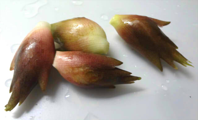 茗荷の味噌炒め 紫大根の甘酢漬け Pinky Honey