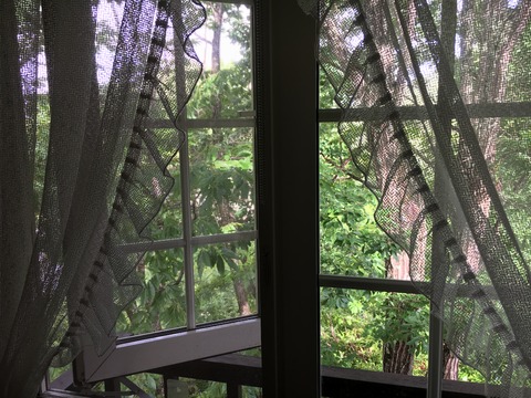 B03E066B-7EB6-42FF-B621-D86436EB2B1D