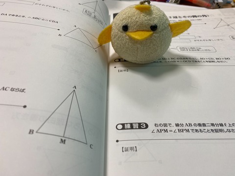 S__16908291