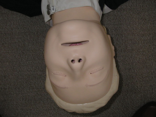 P1010134