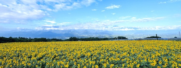 IMG_6092_1