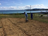 IMG_0954