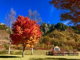 IMG_1359