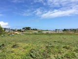 IMG_2215