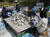 5月25日牡鹿半島_松岡004