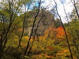 IMG_5460-1
