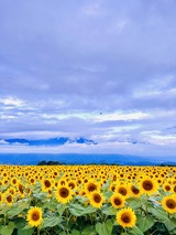 IMG_5125