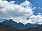 IMG_3711 (2)